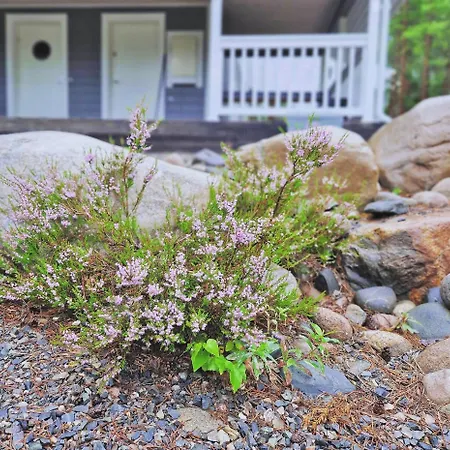 Nuutti Apartamento Kalajoki