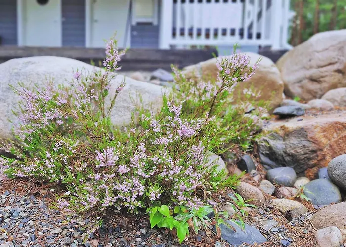 Nuutti Διαμέρισμα Kalajoki